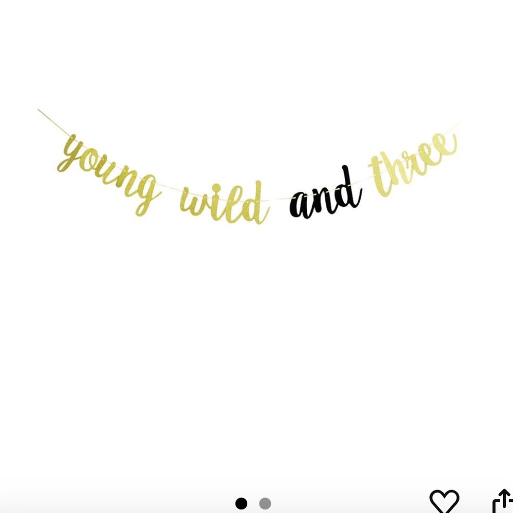 Young Wild & Three Birthday Banner